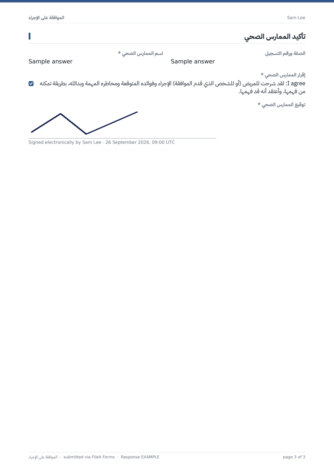 الموافقة على الإجراء — ملف PDF لرد نموذجي، الصفحة 3 من 3
