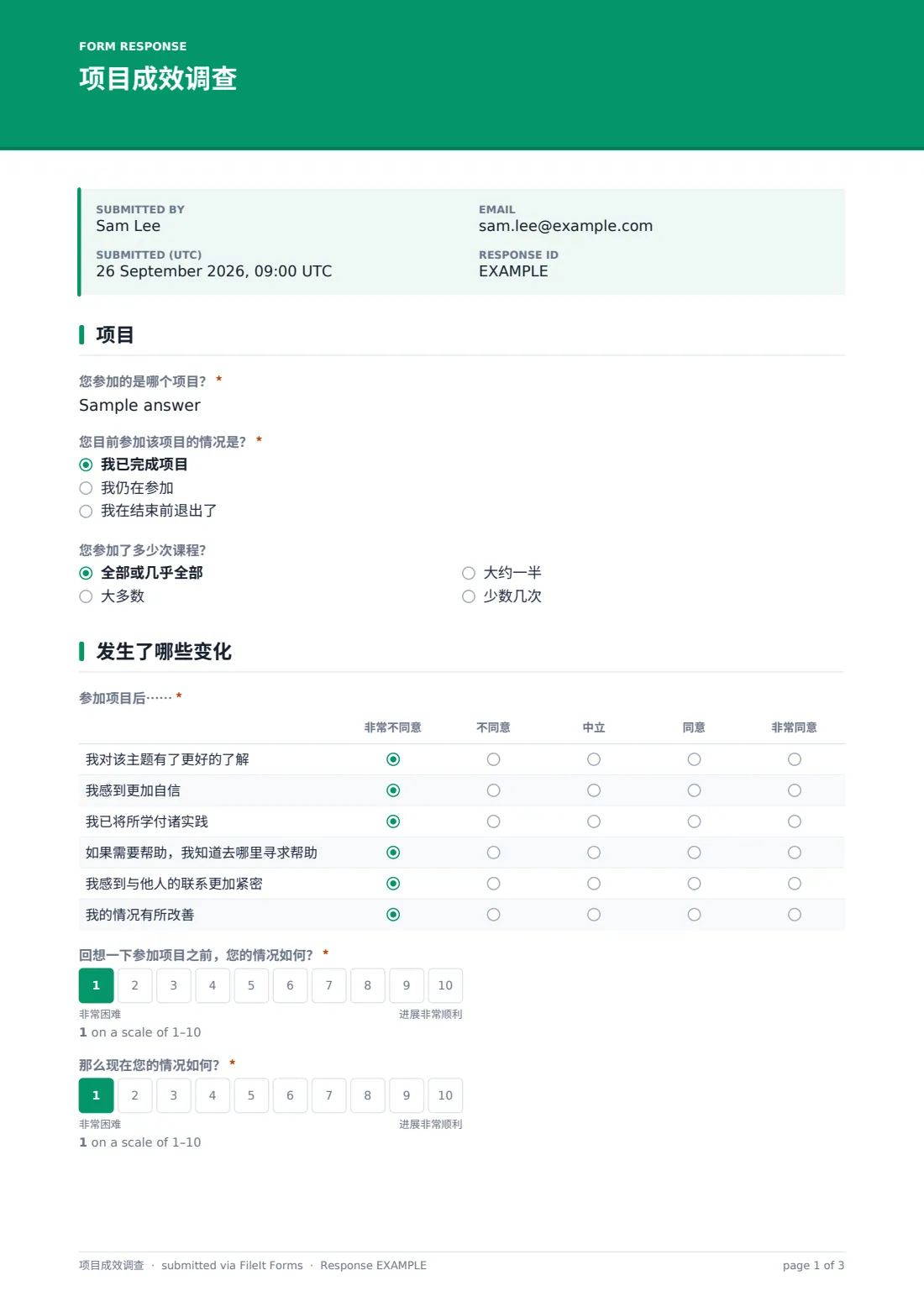项目成效调查 — 示例回复 PDF，第 1 页，共 3 页