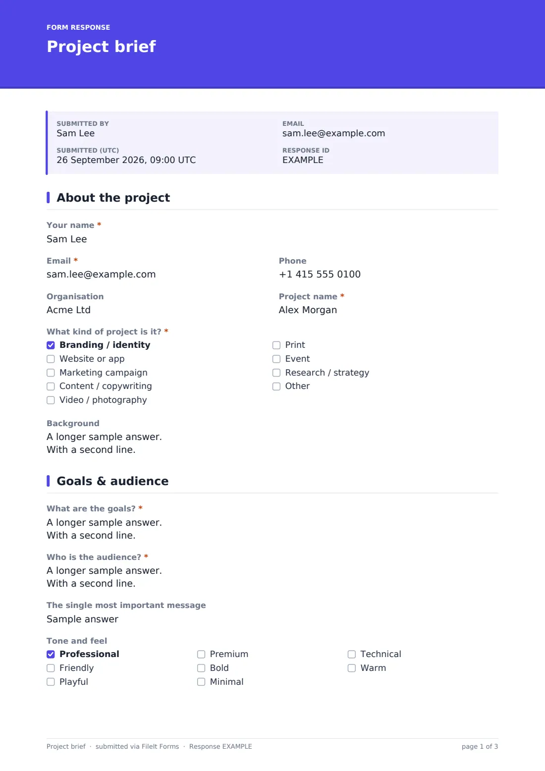 Project brief — example response PDF, page 1 of 3