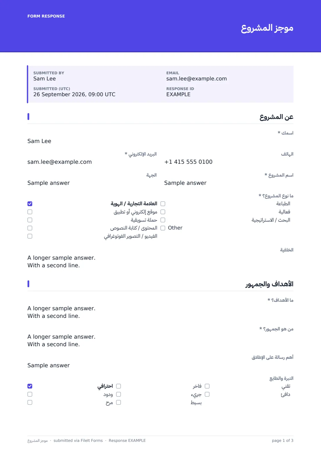 موجز المشروع — ملف PDF لرد نموذجي، الصفحة 1 من 3