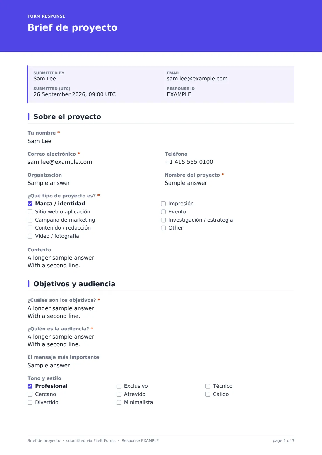 Brief de proyecto — PDF de respuesta de ejemplo, página 1 de 3