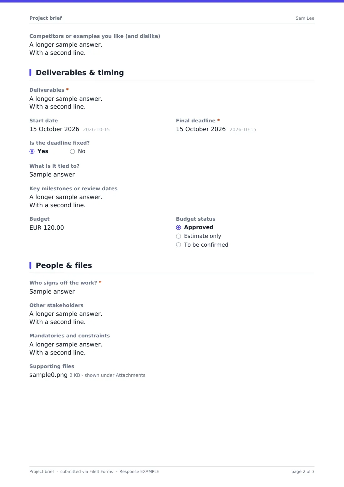 Project brief — example response PDF, page 2 of 3