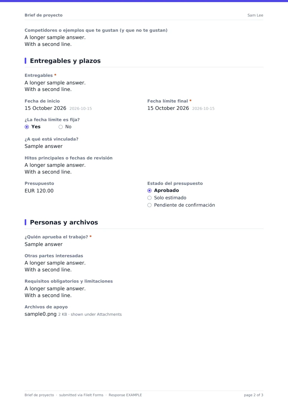 Brief de proyecto — PDF de respuesta de ejemplo, página 2 de 3