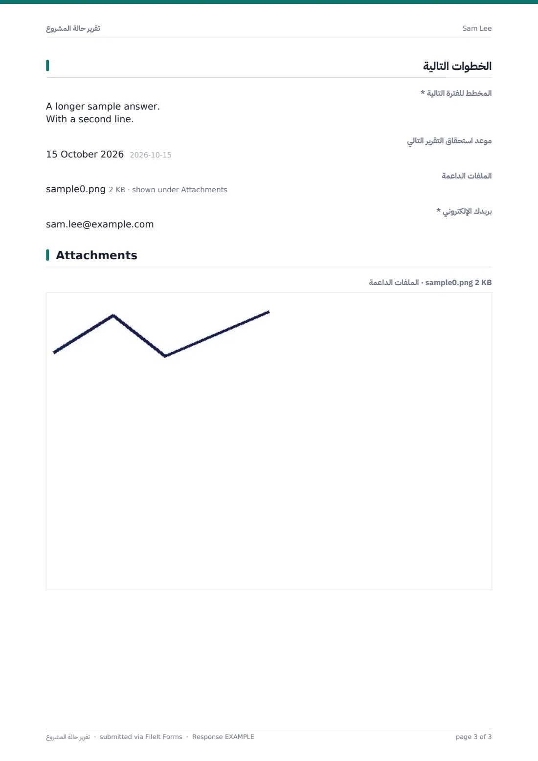 تقرير حالة المشروع — ملف PDF لرد نموذجي، الصفحة 3 من 3