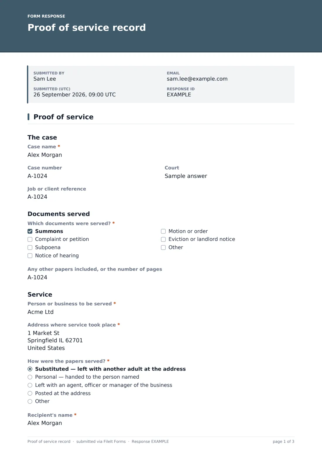 Proof of service record — example response PDF, page 1 of 3