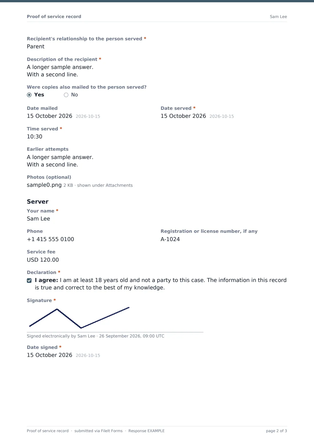 Proof of service record — example response PDF, page 2 of 3