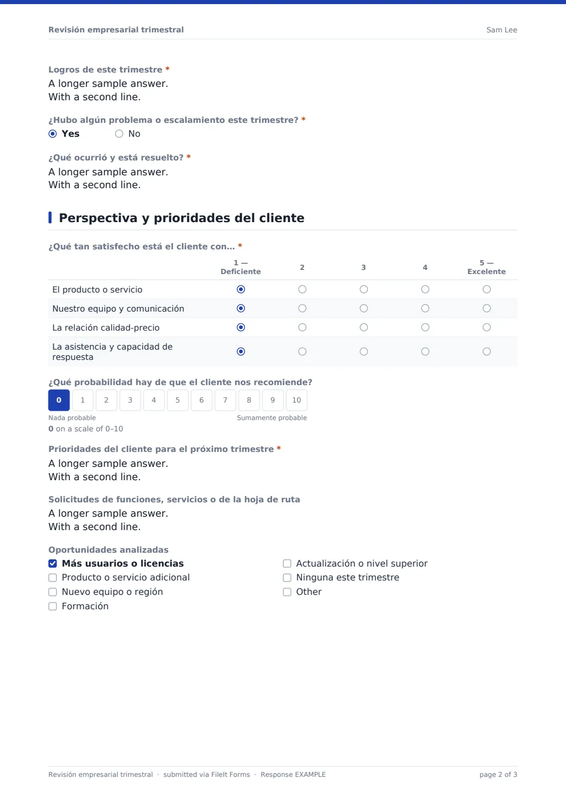 Revisión empresarial trimestral — PDF de respuesta de ejemplo, página 2 de 3