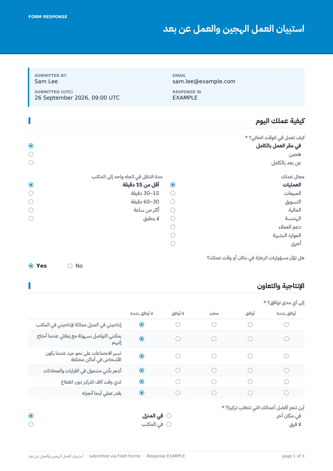 استبيان العمل الهجين والعمل عن بُعد — ملف PDF لرد نموذجي، الصفحة 1 من 3