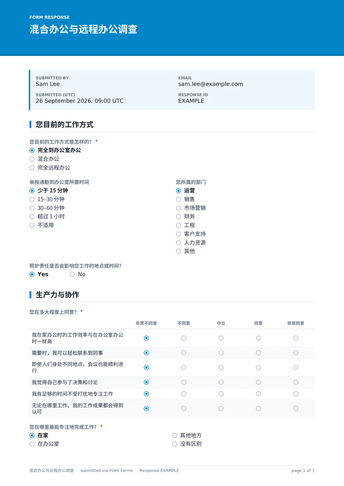 混合办公与远程办公调查 — 示例回复 PDF，第 1 页，共 3 页