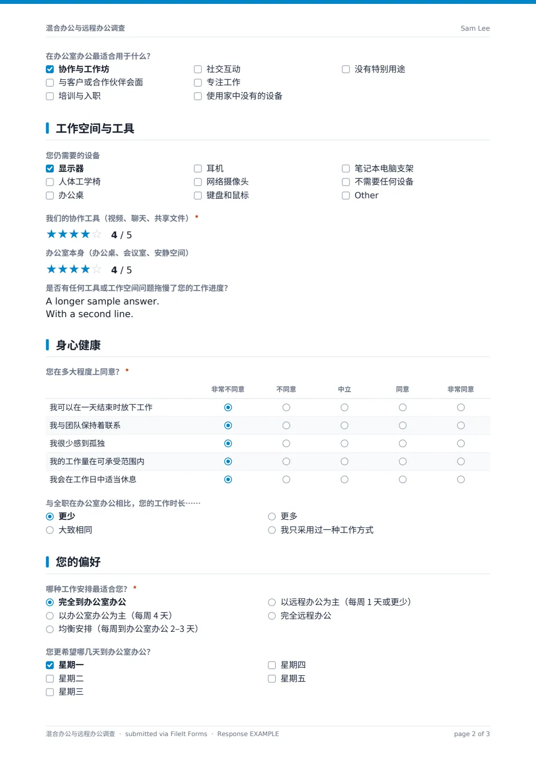 混合办公与远程办公调查 — 示例回复 PDF，第 2 页，共 3 页