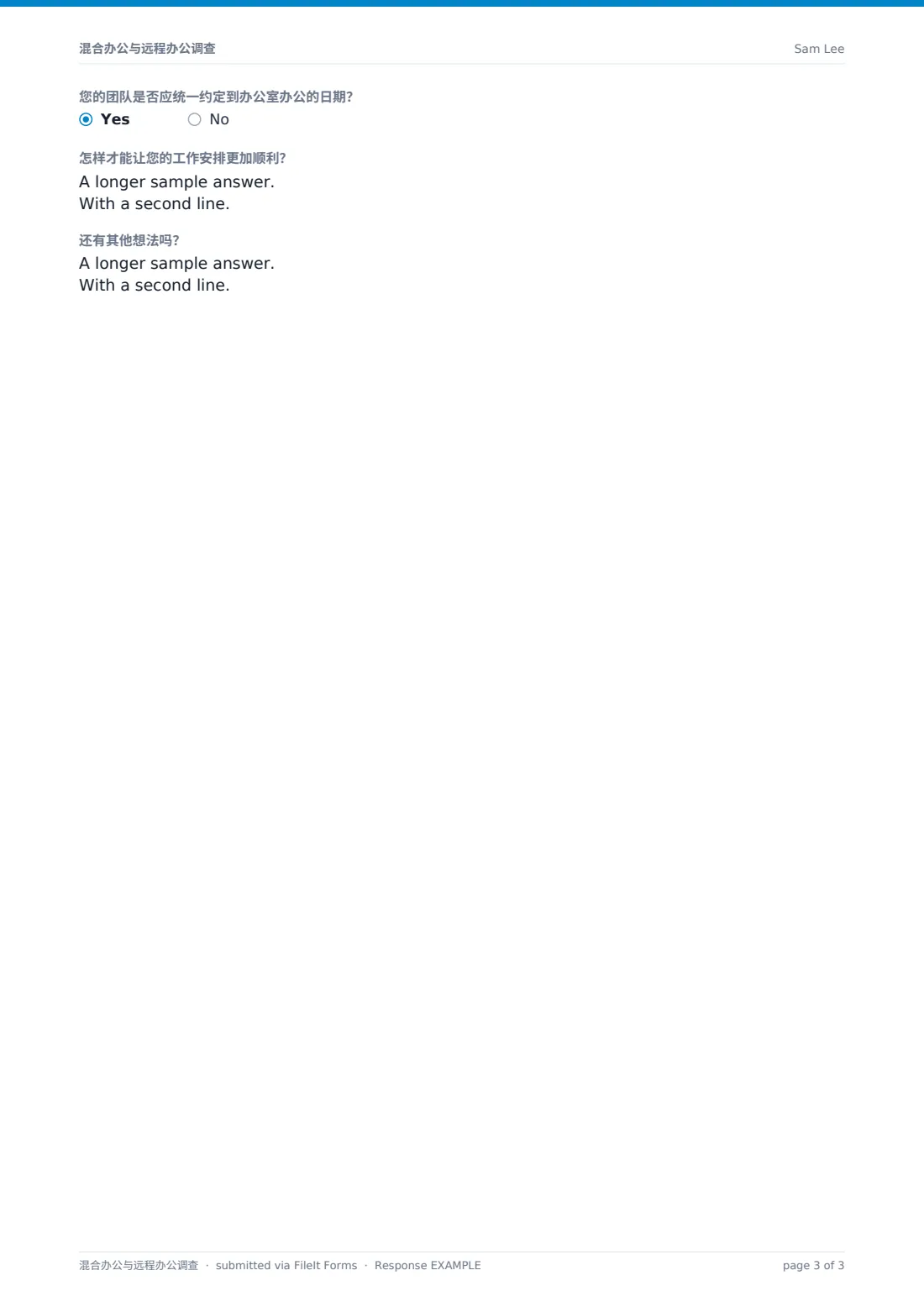 混合办公与远程办公调查 — 示例回复 PDF，第 3 页，共 3 页