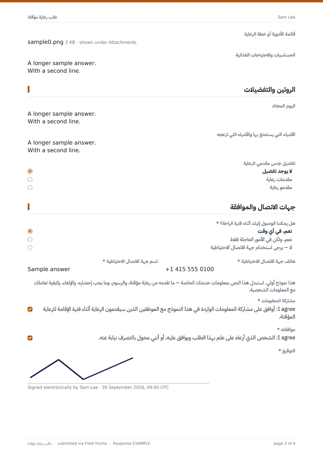 طلب رعاية مؤقتة — ملف PDF لرد نموذجي، الصفحة 3 من 4