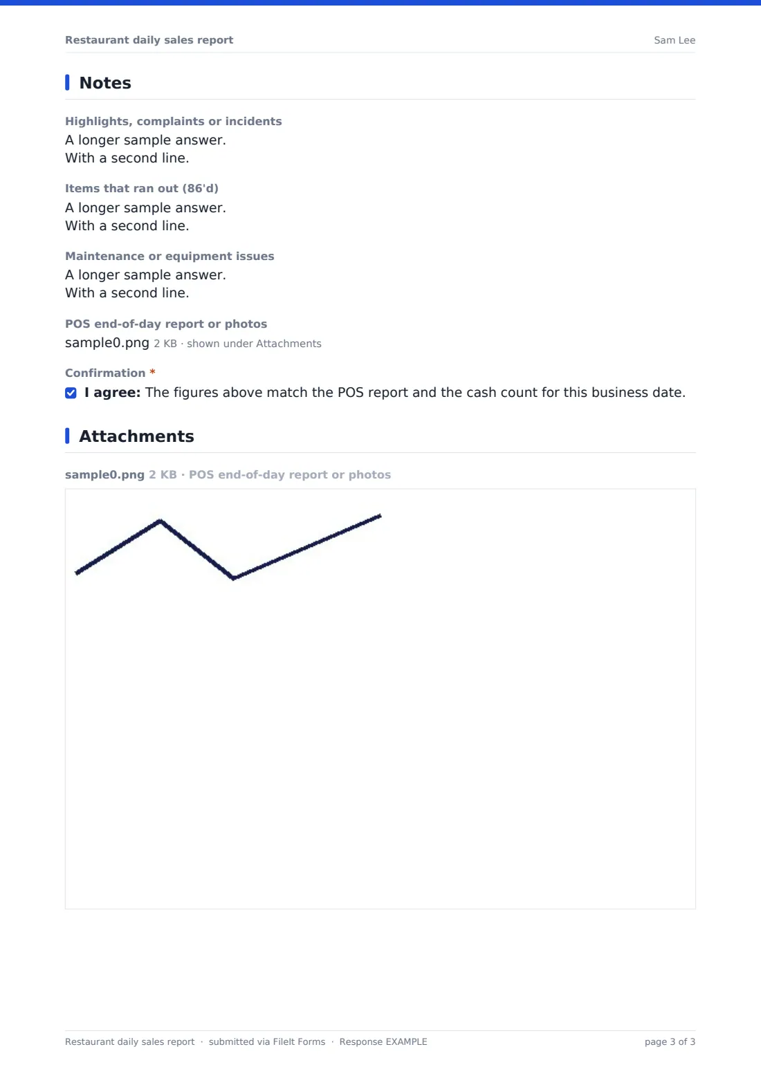 Restaurant daily sales report — example response PDF, page 3 of 3