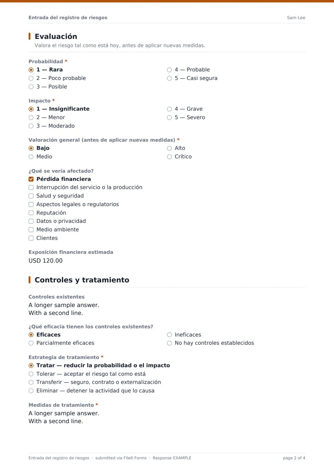 Entrada del registro de riesgos — PDF de respuesta de ejemplo, página 2 de 4