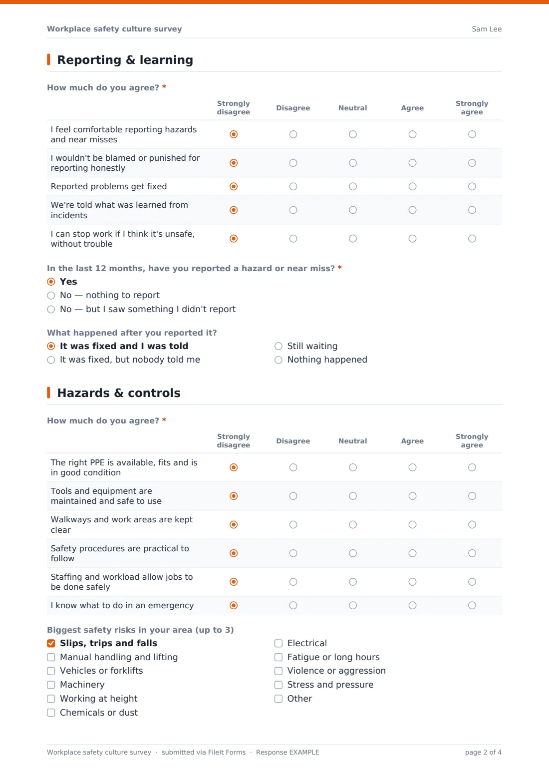 Workplace safety culture survey — example response PDF, page 2 of 4