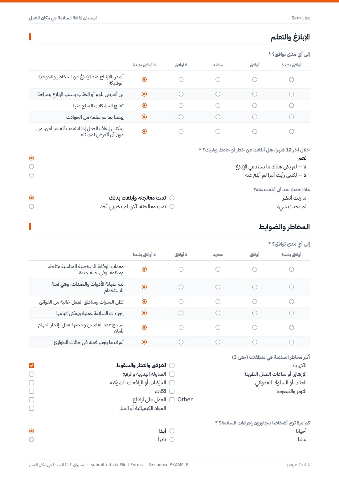 استبيان ثقافة السلامة في مكان العمل — ملف PDF لرد نموذجي، الصفحة 2 من 4