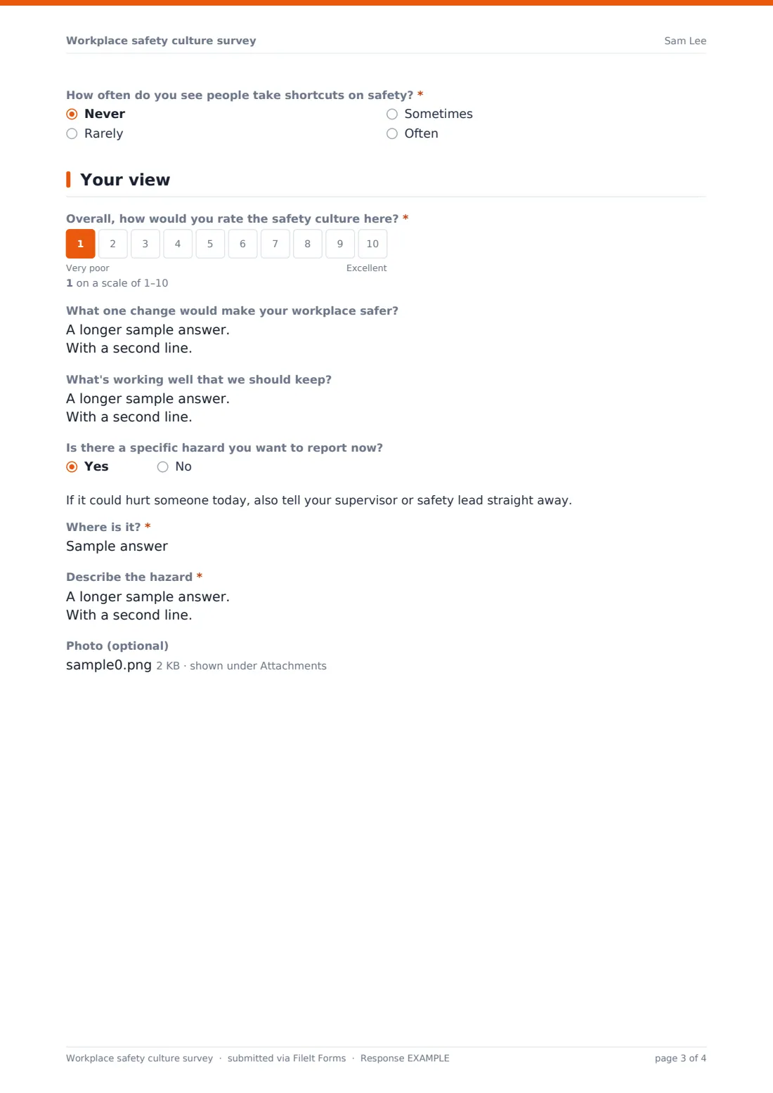 Workplace safety culture survey — example response PDF, page 3 of 4