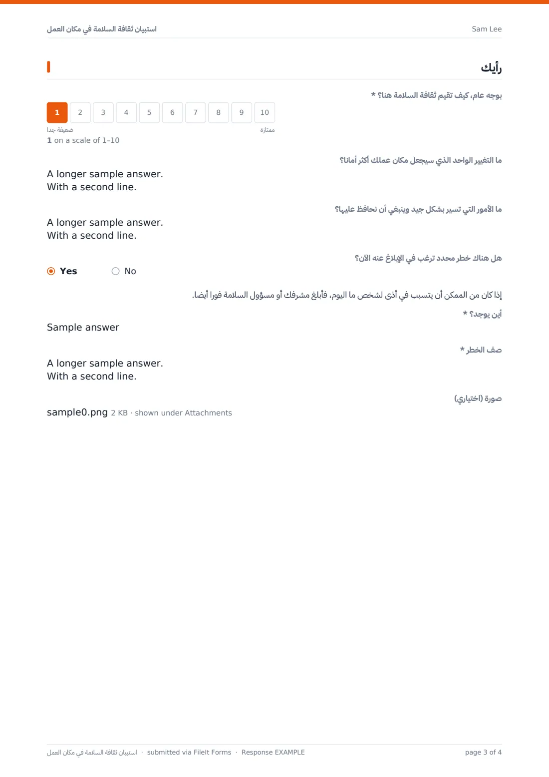 استبيان ثقافة السلامة في مكان العمل — ملف PDF لرد نموذجي، الصفحة 3 من 4