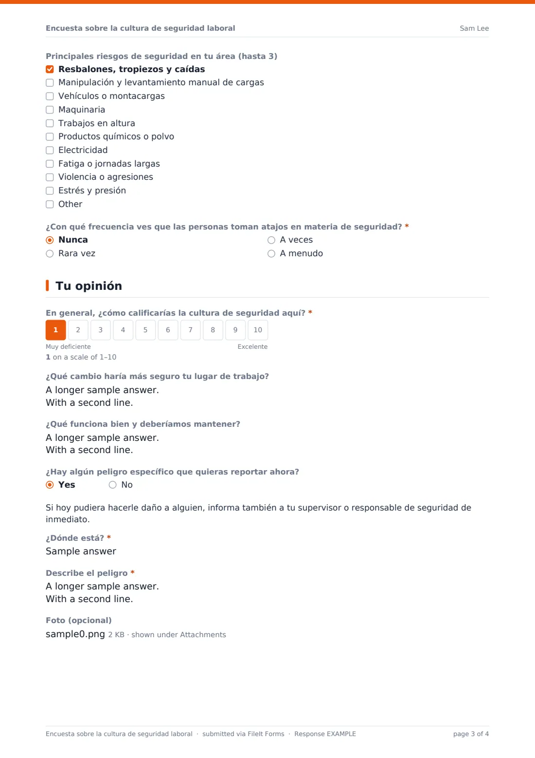 Encuesta sobre la cultura de seguridad laboral — PDF de respuesta de ejemplo, página 3 de 4