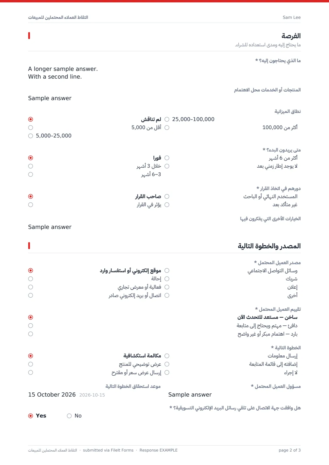 التقاط العملاء المحتملين للمبيعات — ملف PDF لرد نموذجي، الصفحة 2 من 3