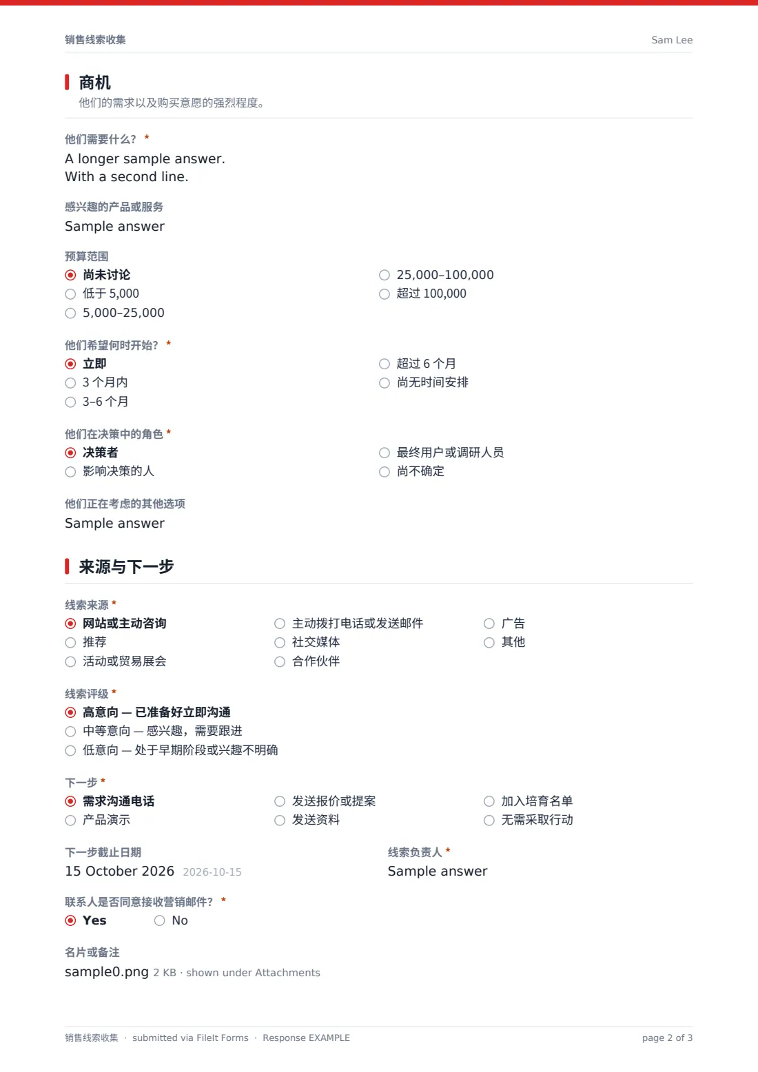 销售线索收集 — 示例回复 PDF，第 2 页，共 3 页