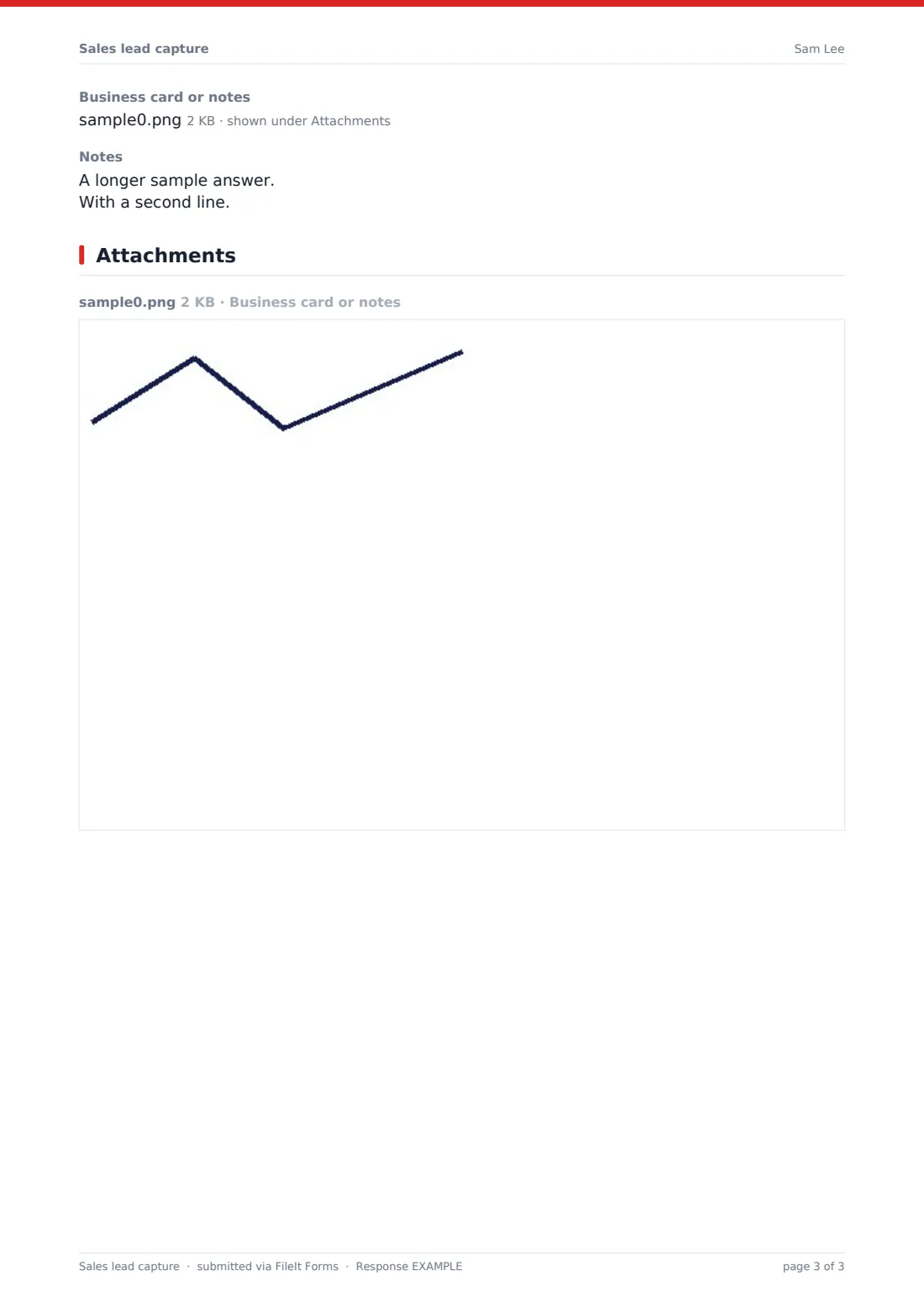 Sales lead capture — example response PDF, page 3 of 3