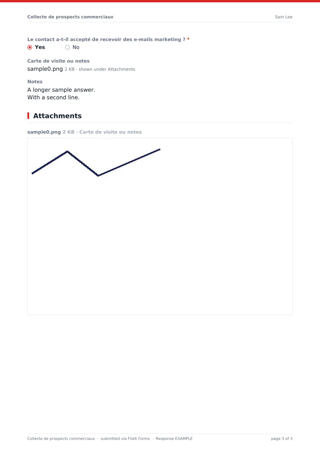 Collecte de prospects commerciaux — exemple de réponse au format PDF, page 3 sur 3
