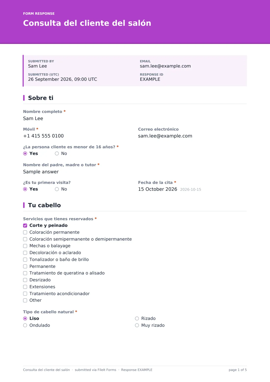 Consulta del cliente del salón — PDF de respuesta de ejemplo, página 1 de 5