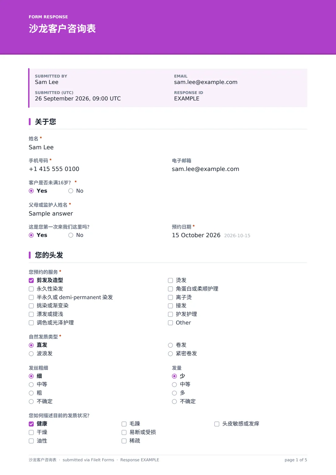 沙龙客户咨询表 — 示例回复 PDF，第 1 页，共 5 页