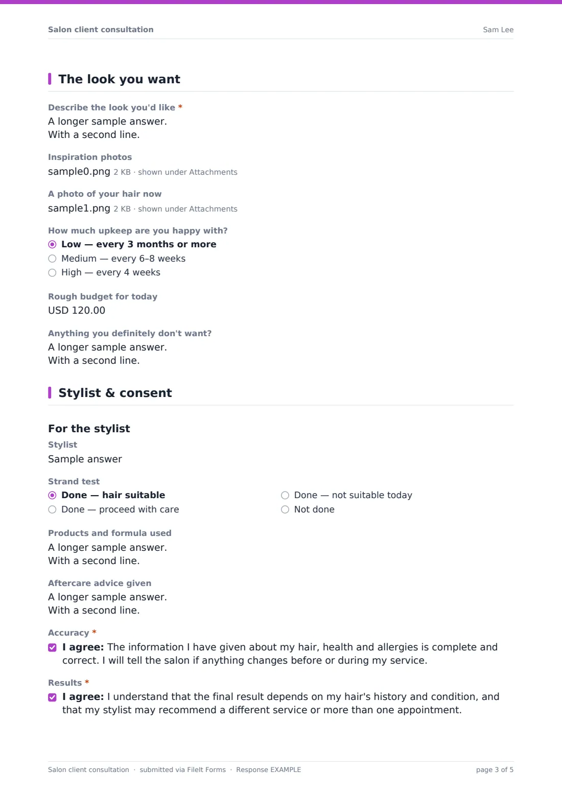 Salon client consultation — example response PDF, page 3 of 5