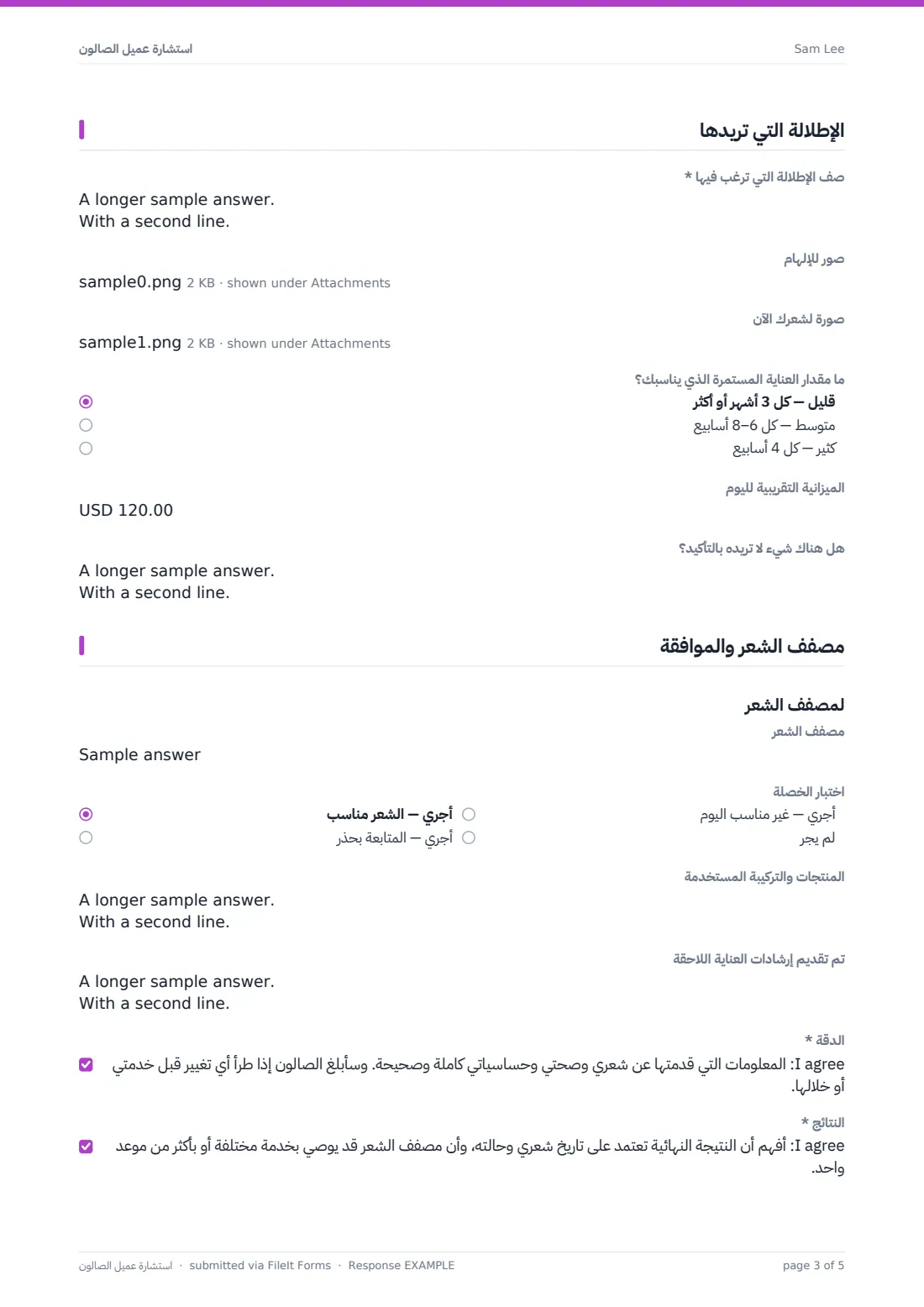استشارة عميل الصالون — ملف PDF لرد نموذجي، الصفحة 3 من 5