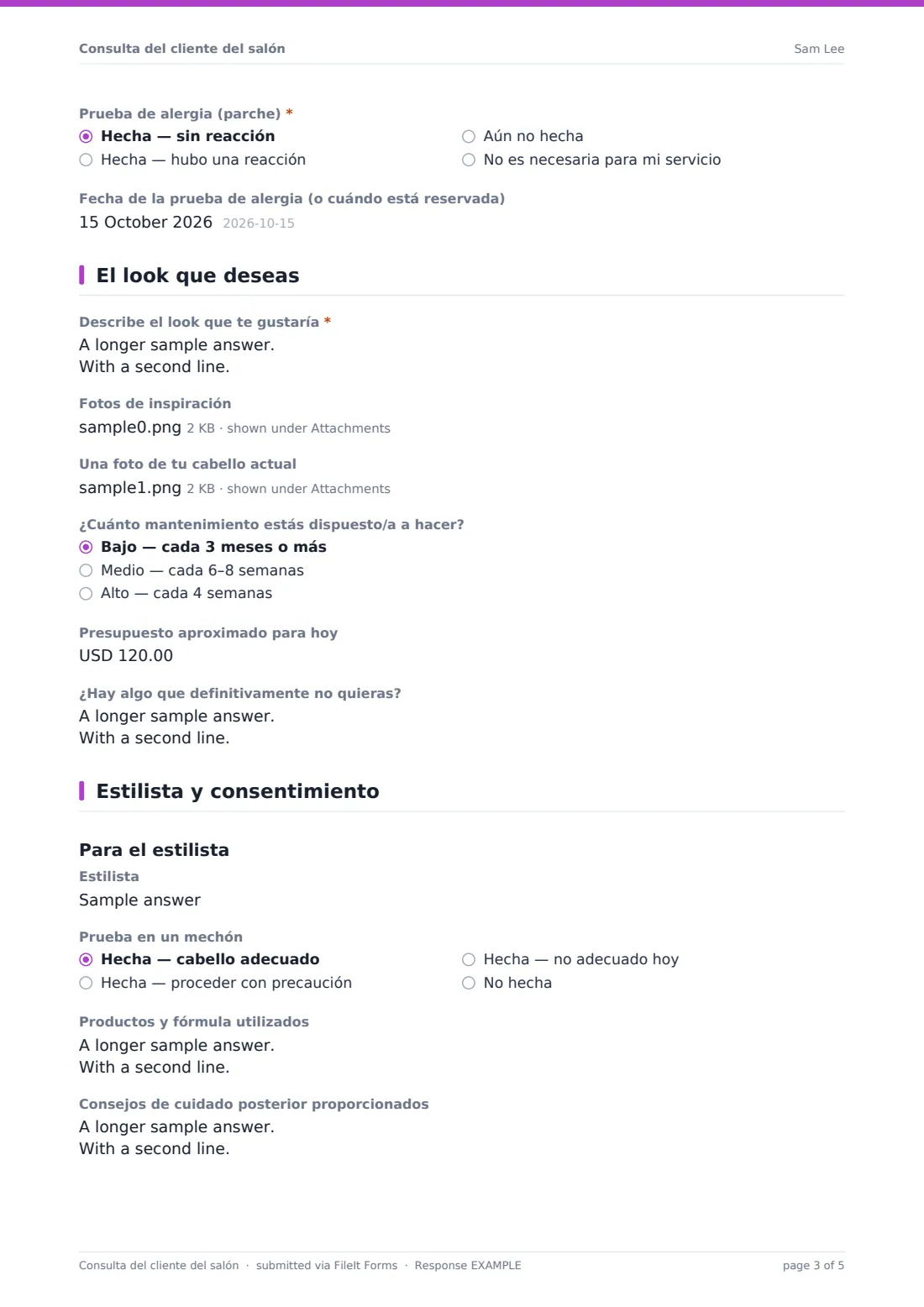 Consulta del cliente del salón — PDF de respuesta de ejemplo, página 3 de 5