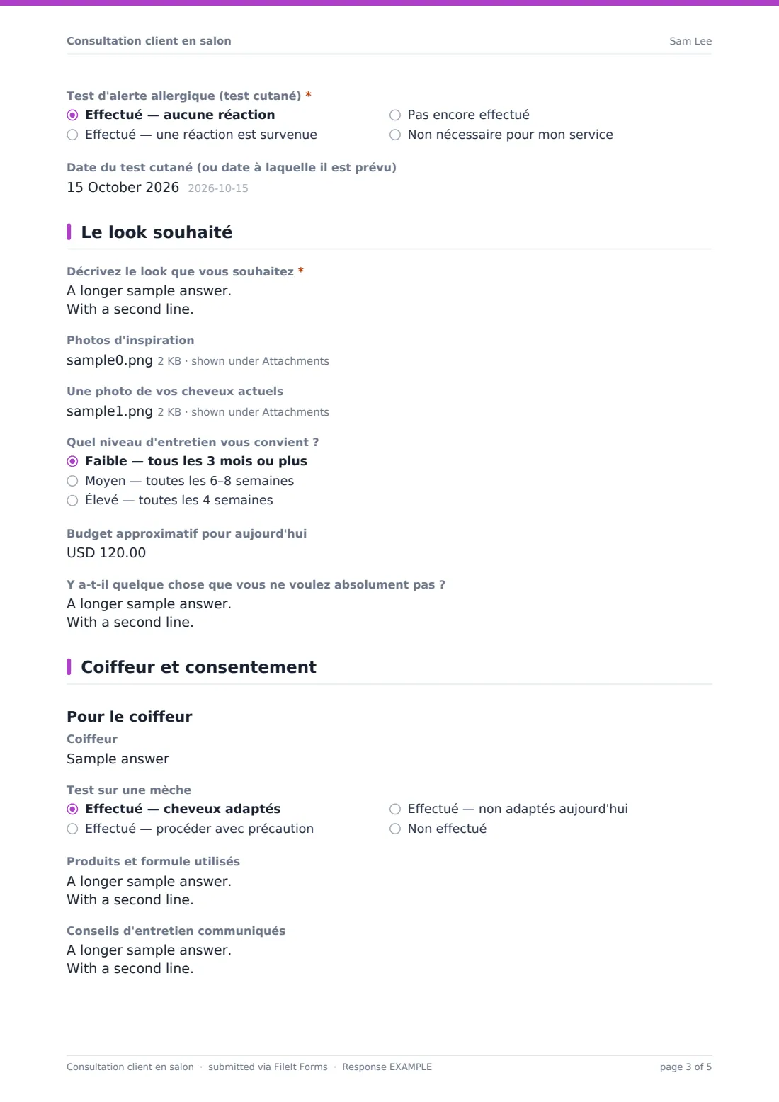 Consultation client en salon — exemple de réponse au format PDF, page 3 sur 5
