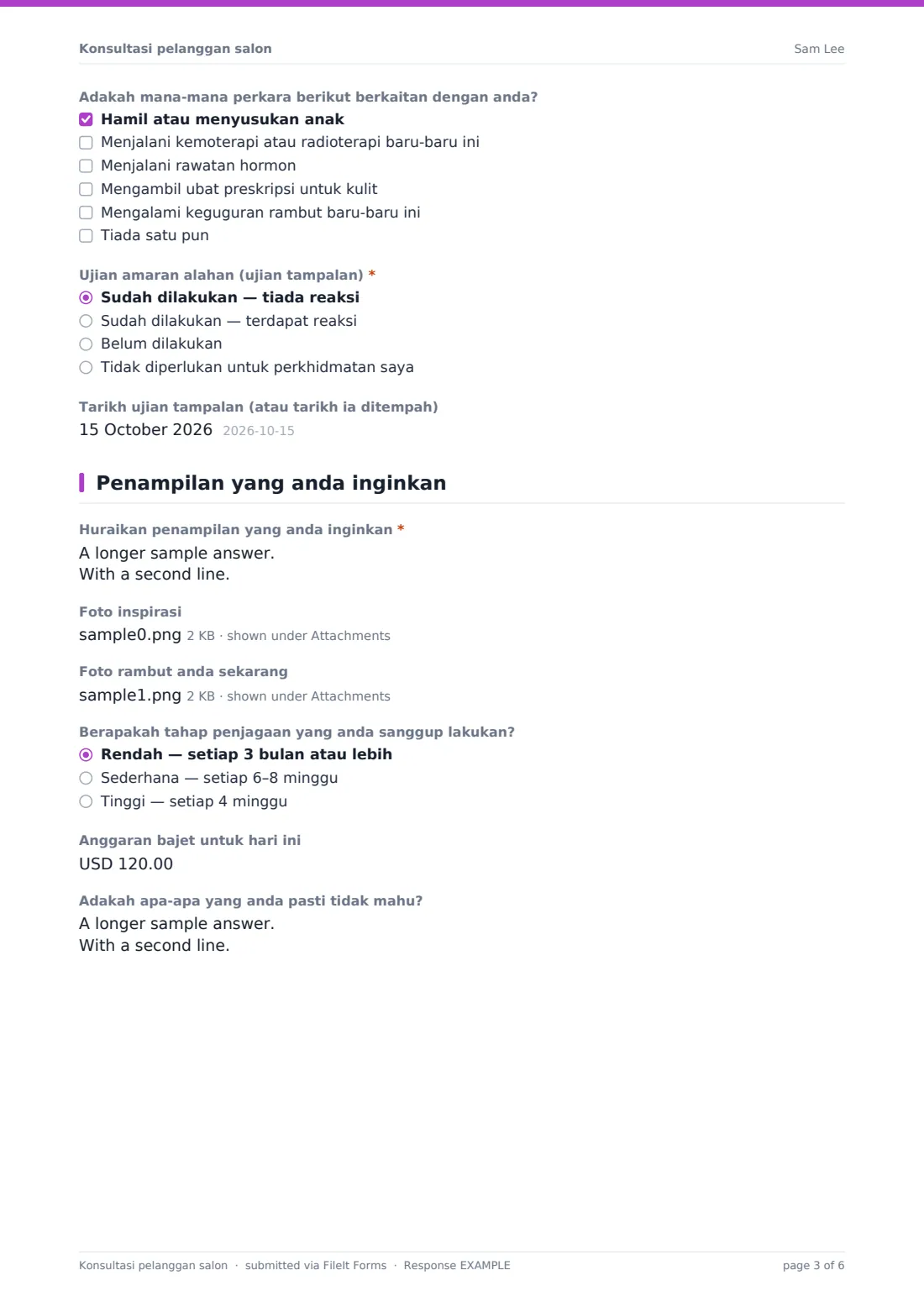 Konsultasi pelanggan salon — PDF respons contoh, halaman 3 daripada 6