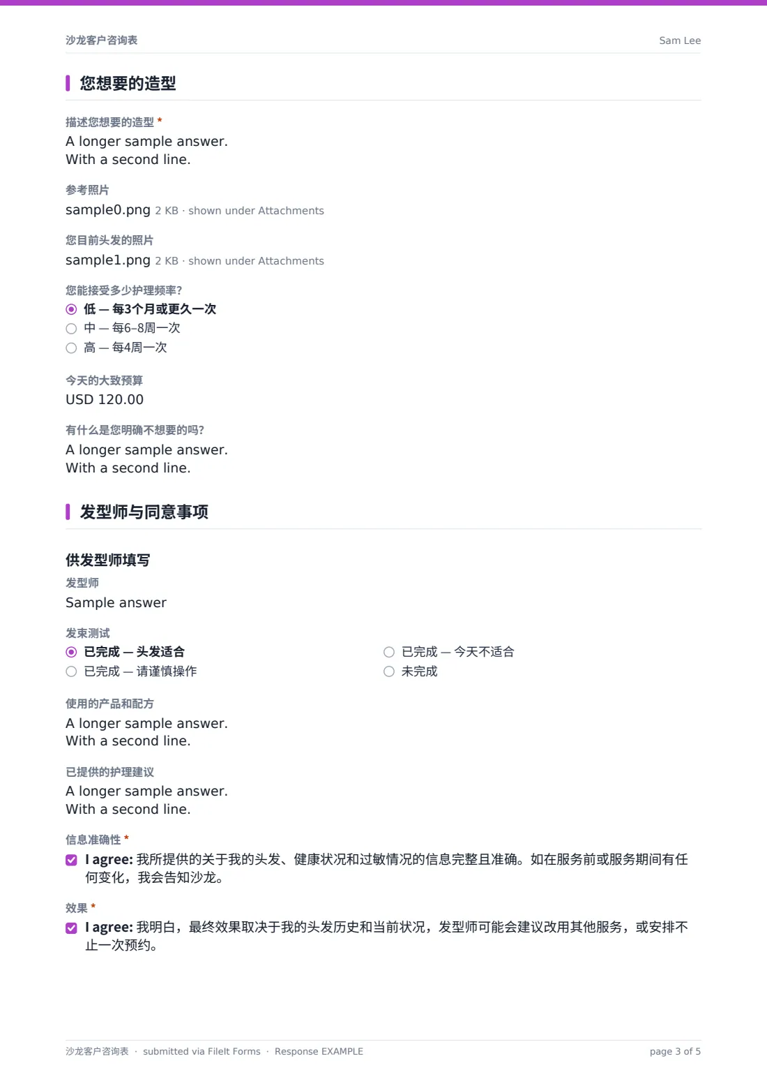 沙龙客户咨询表 — 示例回复 PDF，第 3 页，共 5 页