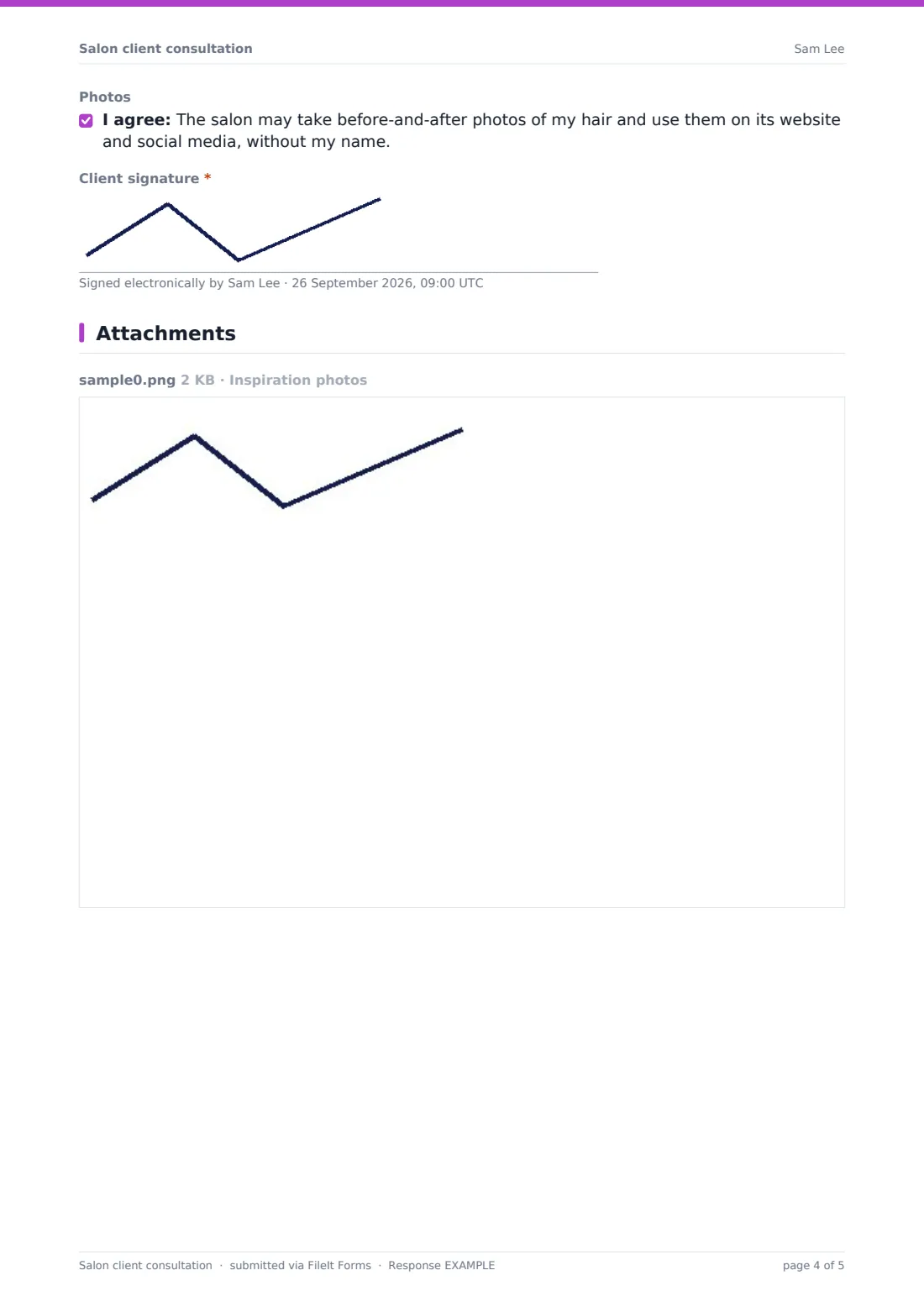 Salon client consultation — example response PDF, page 4 of 5