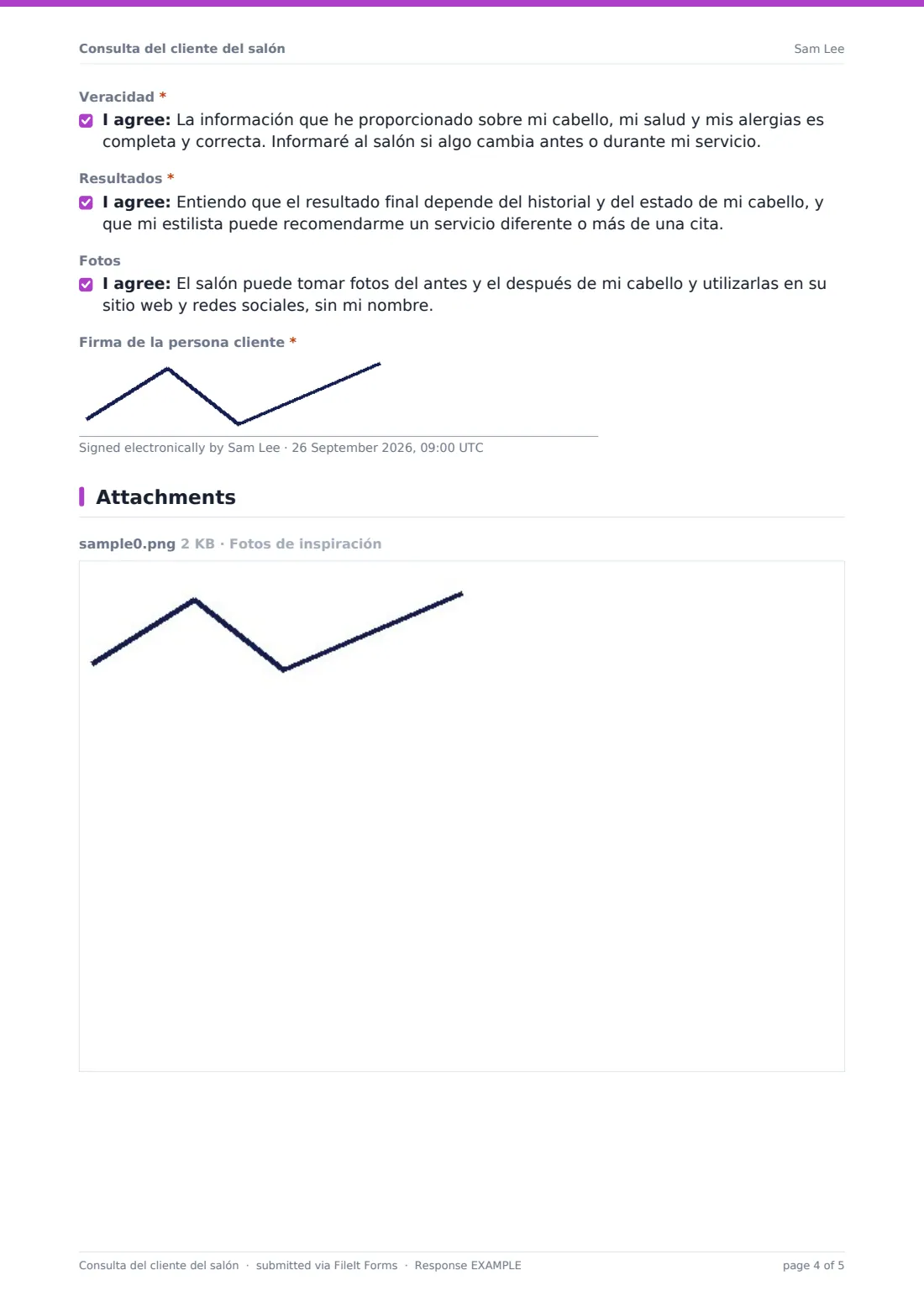 Consulta del cliente del salón — PDF de respuesta de ejemplo, página 4 de 5
