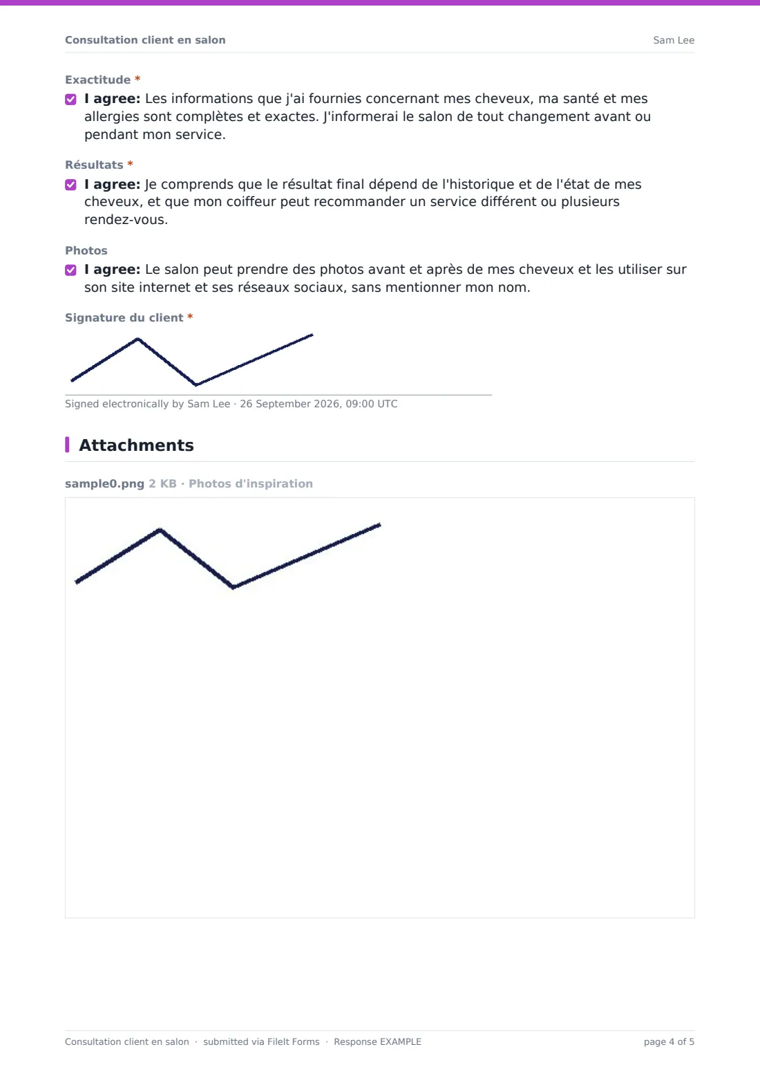 Consultation client en salon — exemple de réponse au format PDF, page 4 sur 5