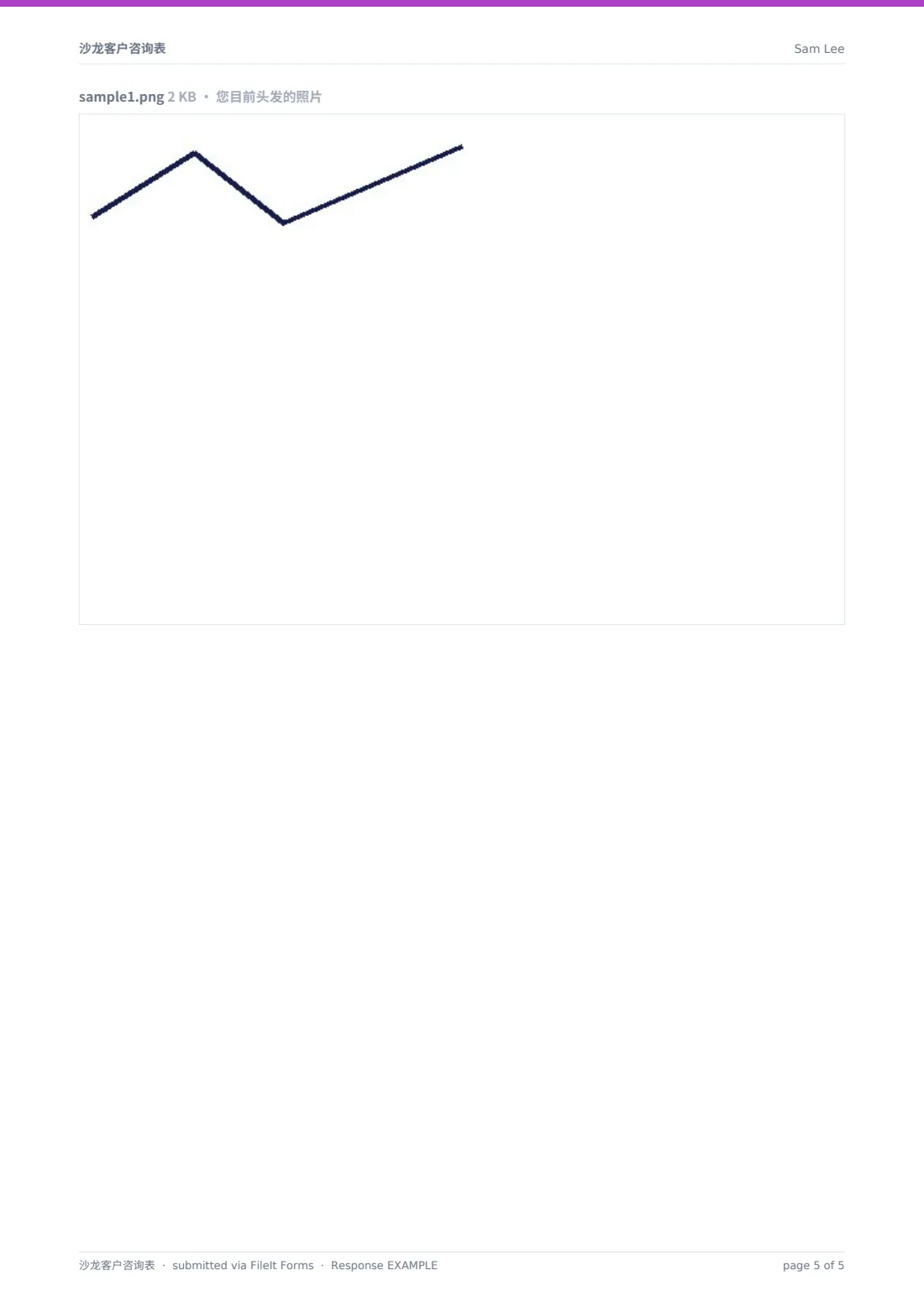 沙龙客户咨询表 — 示例回复 PDF，第 5 页，共 5 页