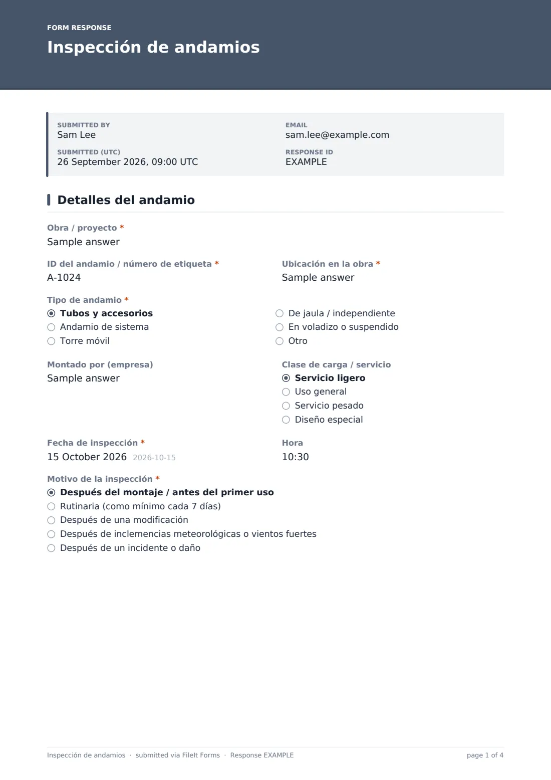 Inspección de andamios — PDF de respuesta de ejemplo, página 1 de 4