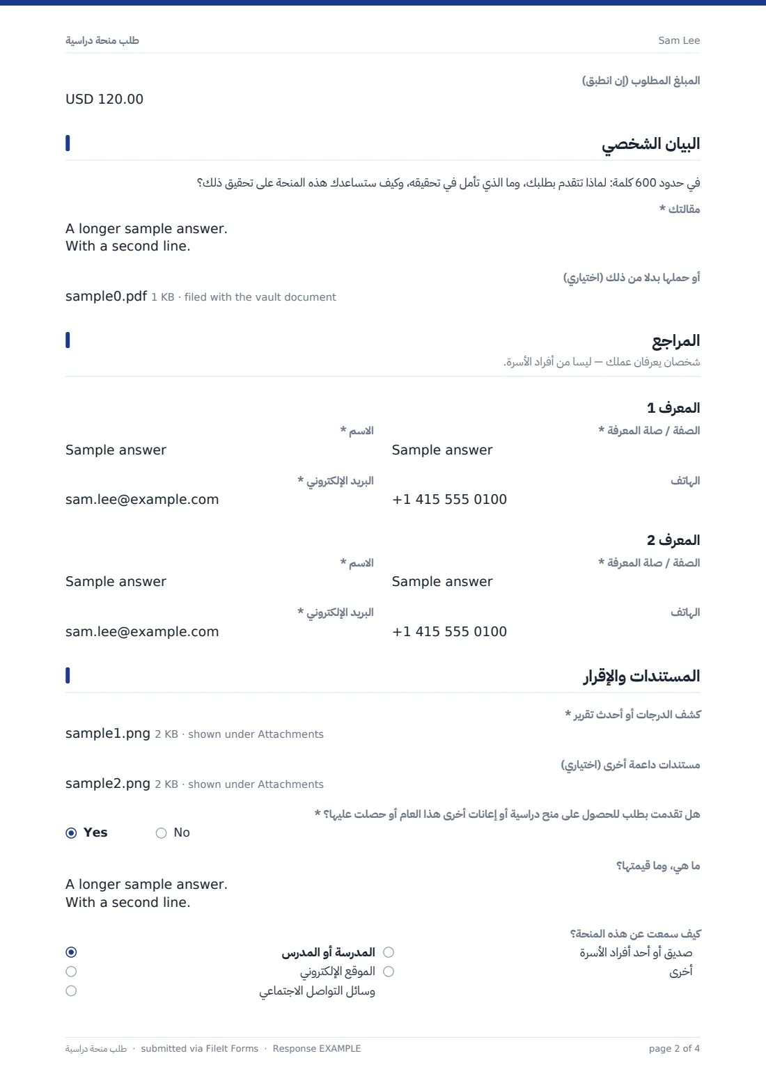 طلب منحة دراسية — ملف PDF لرد نموذجي، الصفحة 2 من 4