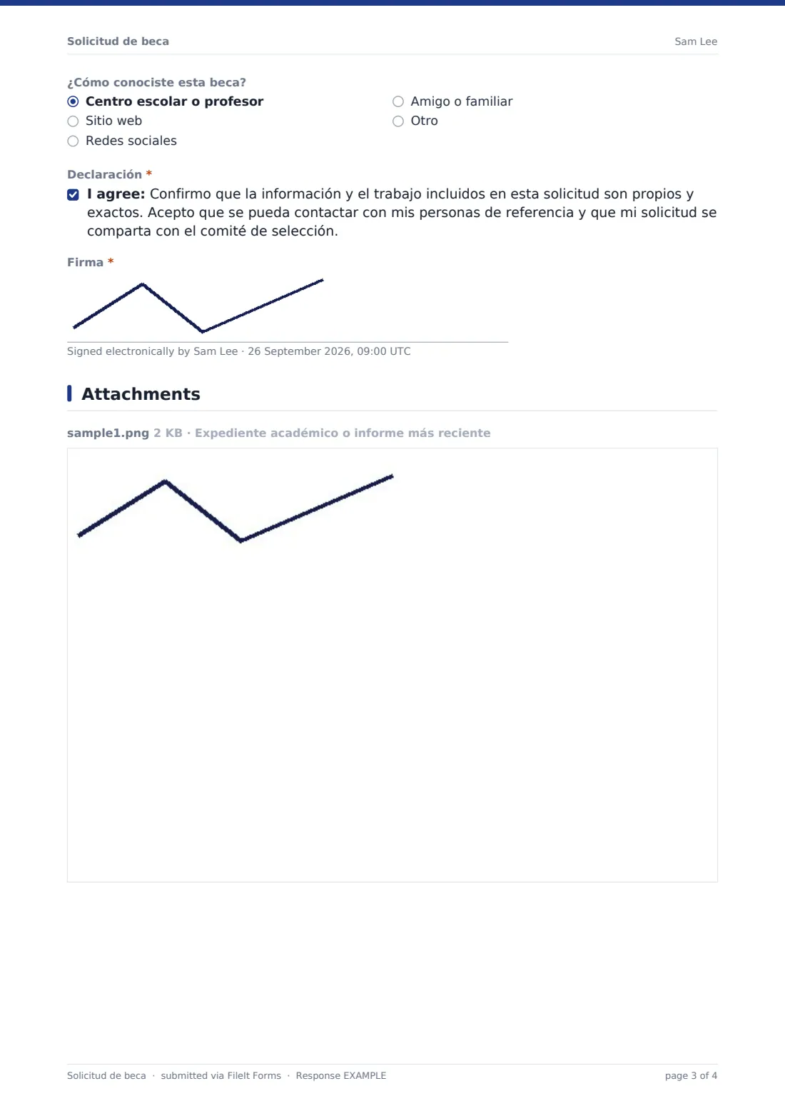 Solicitud de beca — PDF de respuesta de ejemplo, página 3 de 4