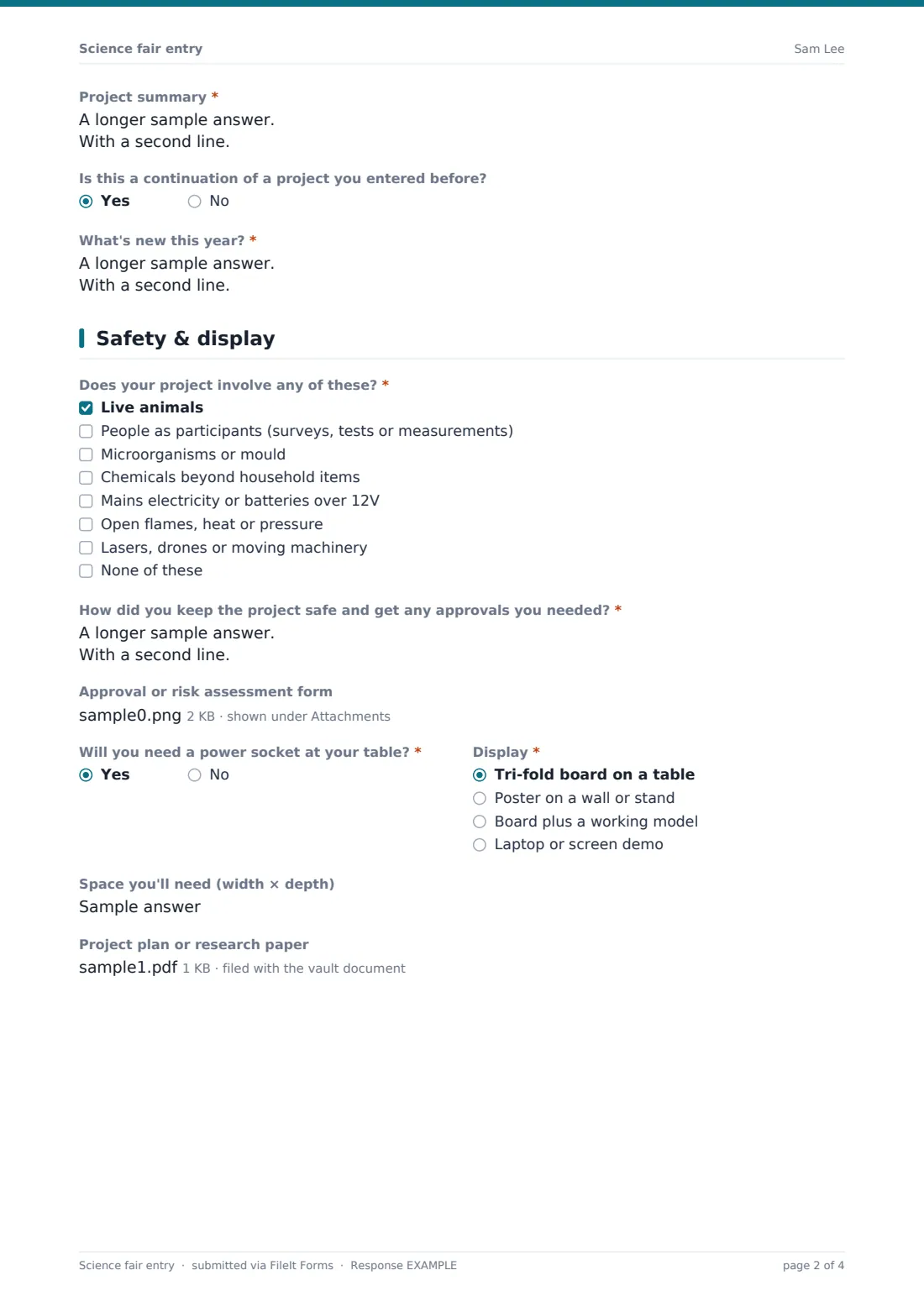 Science fair entry — example response PDF, page 2 of 4