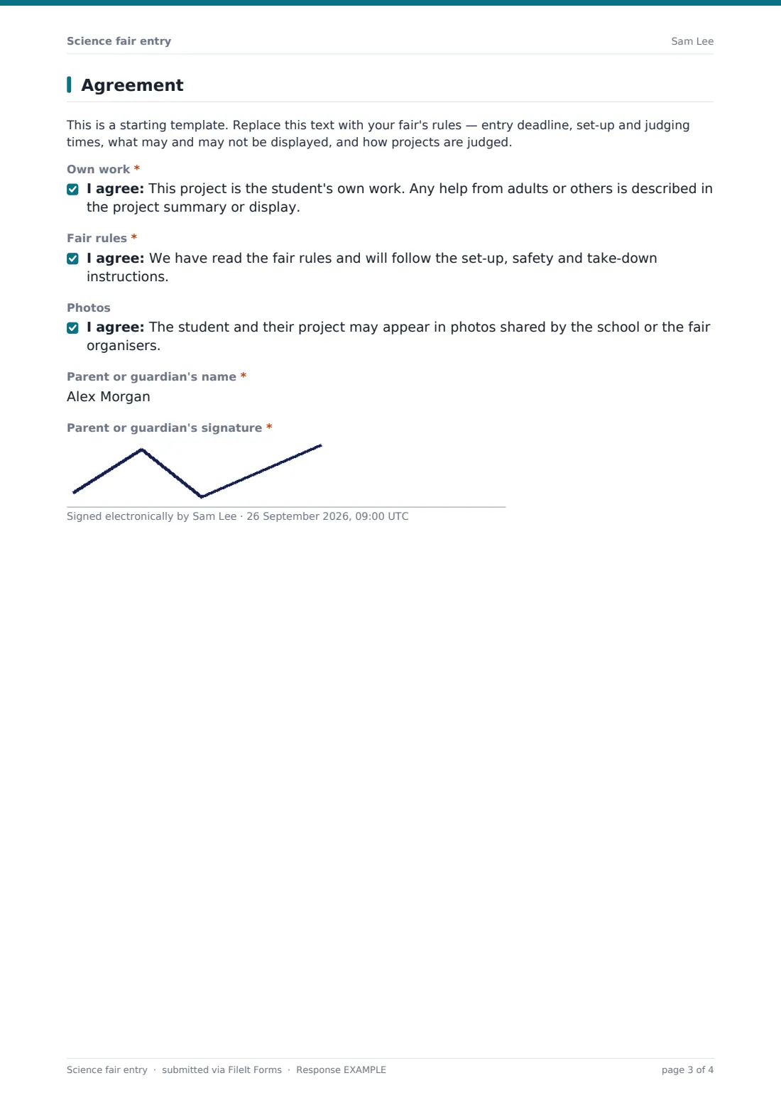 Science fair entry — example response PDF, page 3 of 4