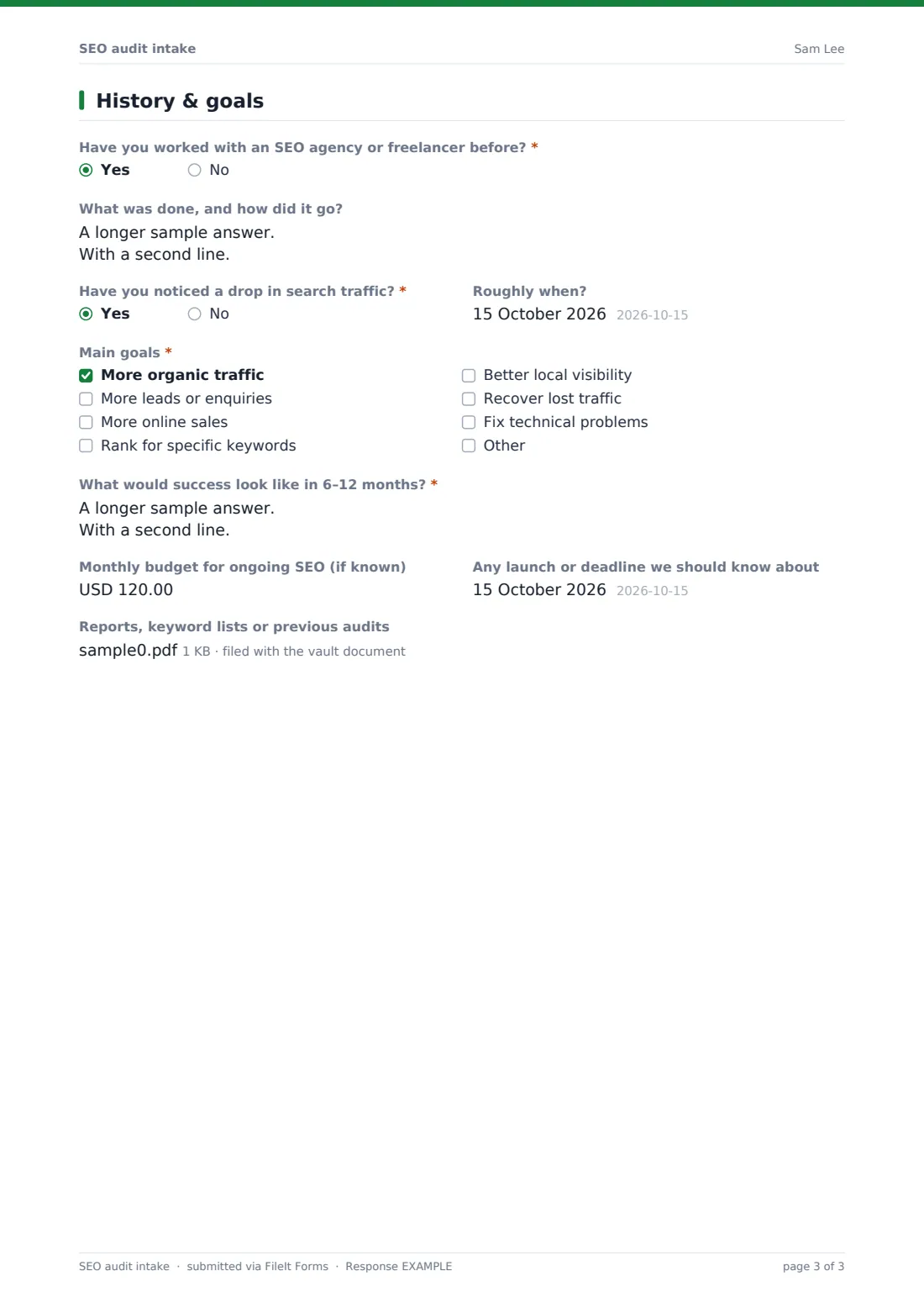 SEO audit intake — example response PDF, page 3 of 3