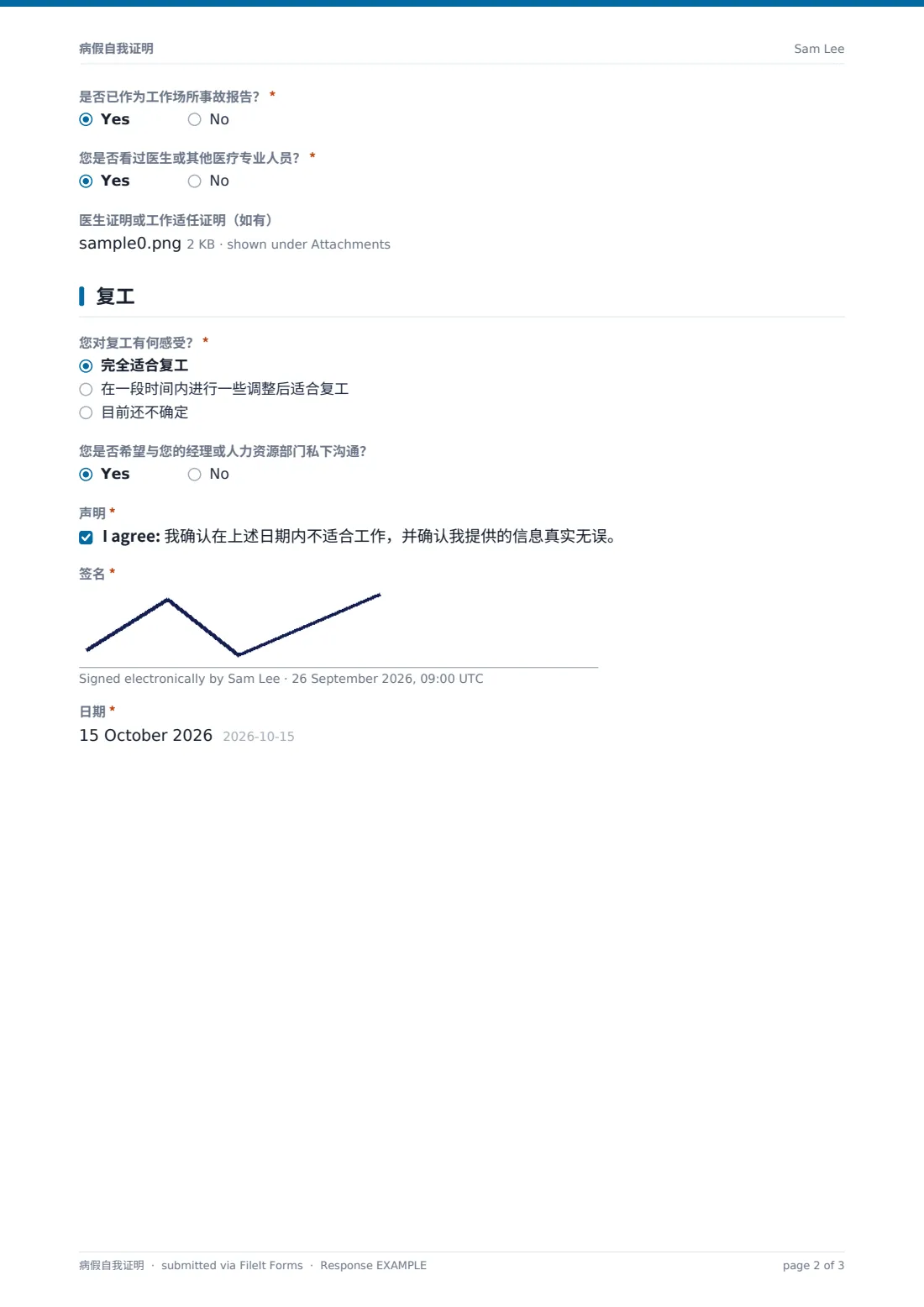 病假自我证明 — 示例回复 PDF，第 2 页，共 3 页
