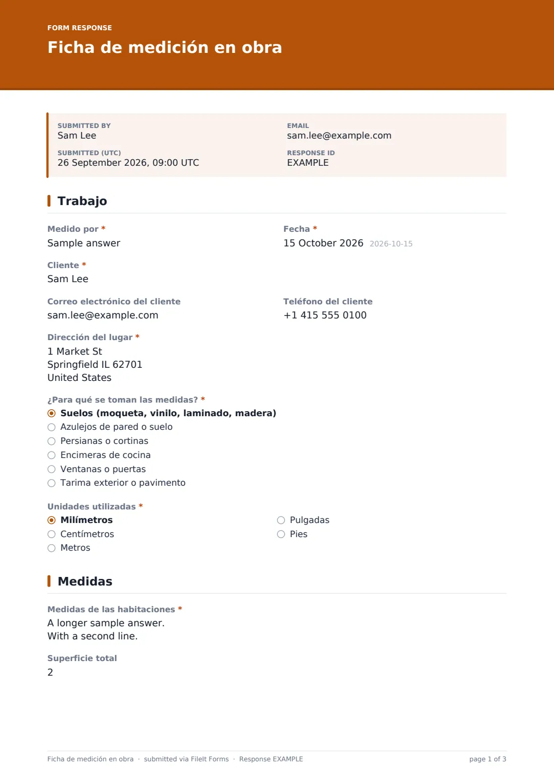 Ficha de medición en obra — PDF de respuesta de ejemplo, página 1 de 3