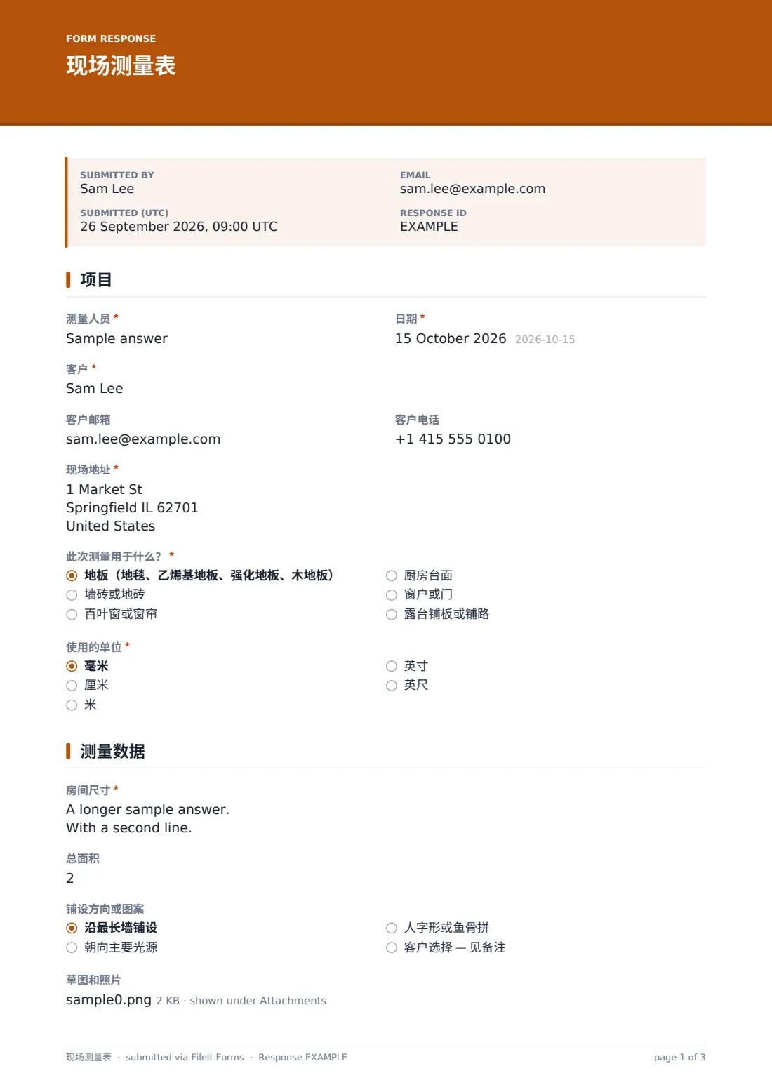 现场测量表 — 示例回复 PDF，第 1 页，共 3 页