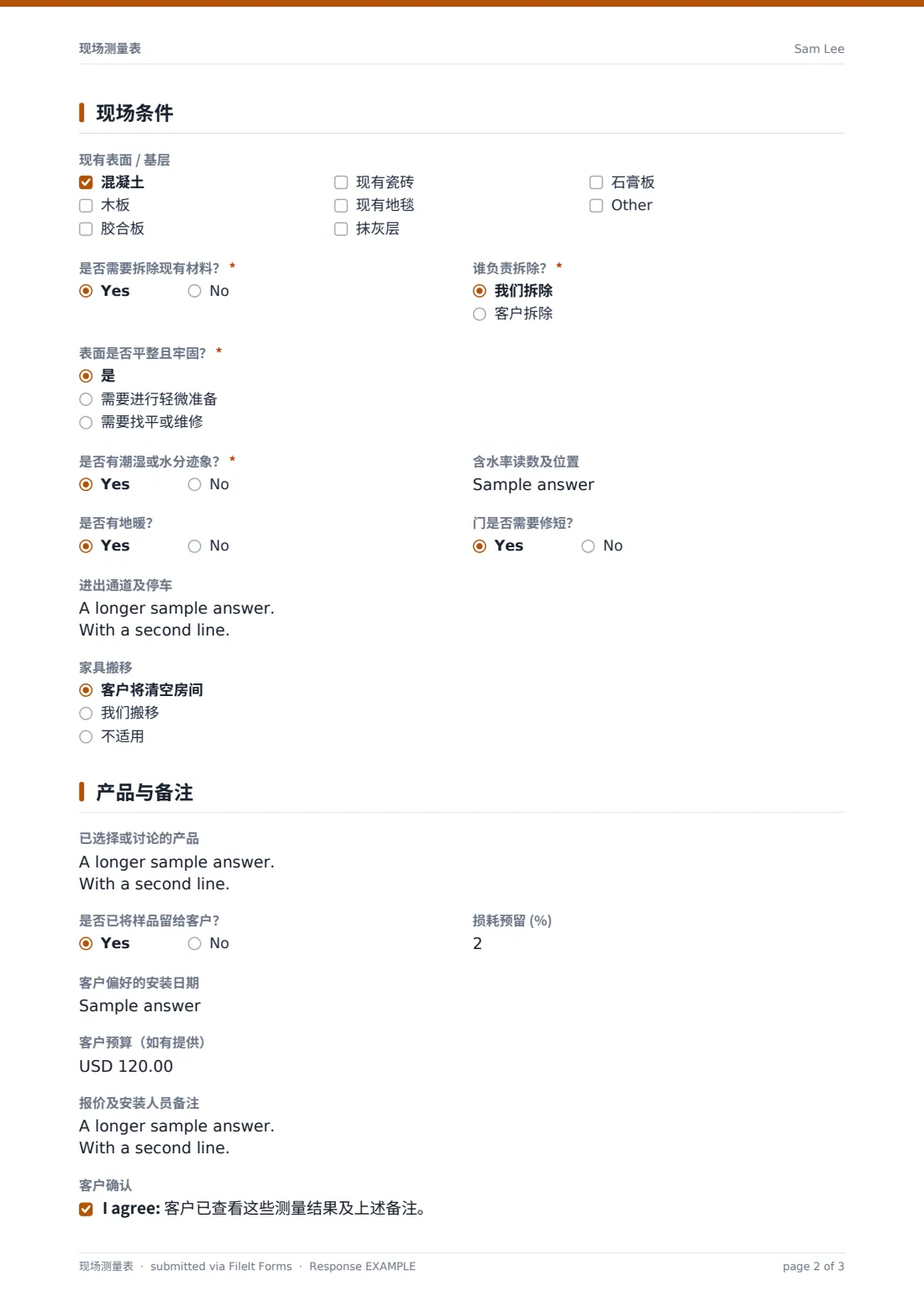 现场测量表 — 示例回复 PDF，第 2 页，共 3 页