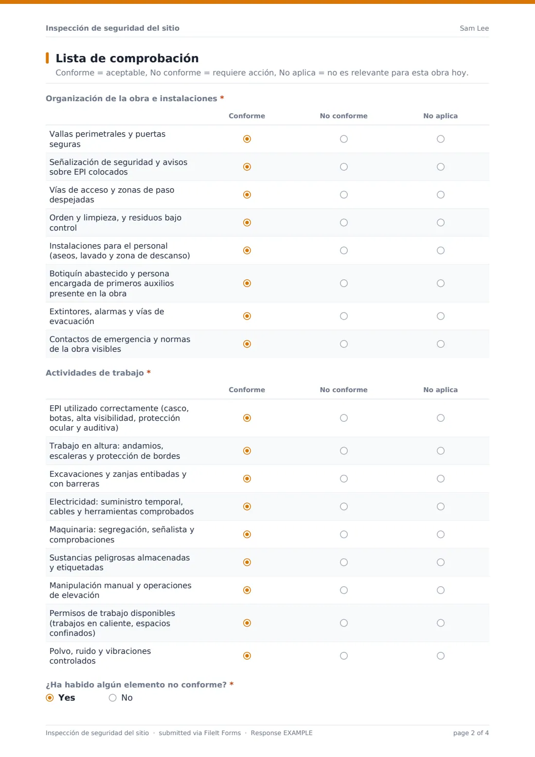 Inspección de seguridad del sitio — PDF de respuesta de ejemplo, página 2 de 4